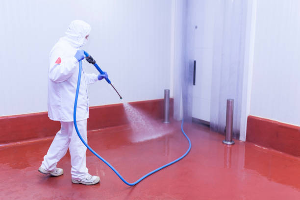 Best Window and Screen Pressure Cleaning in Springdale, OH